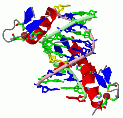 Image Asym./Biol. Unit - manually