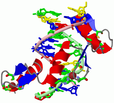 Image Asym./Biol. Unit - manually