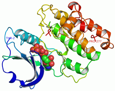 Image Asym./Biol. Unit - manually