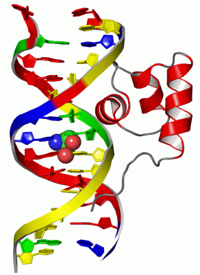 Image Asym./Biol. Unit - manually