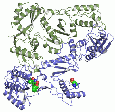 Image Asym./Biol. Unit - manually