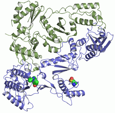 Image Asym./Biol. Unit - manually