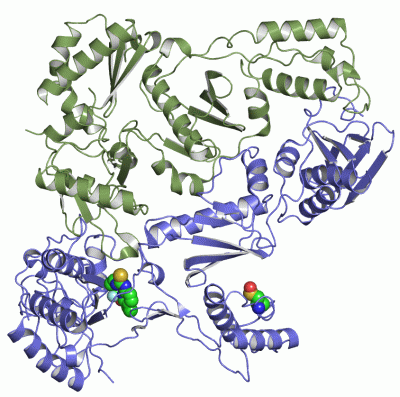 Image Asym./Biol. Unit - manually