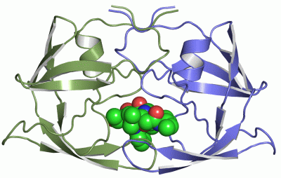 Image Asym./Biol. Unit - manually