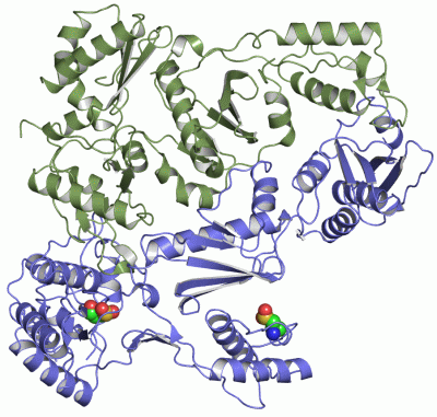 Image Asym./Biol. Unit - manually