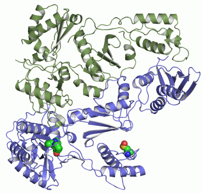 Image Asym./Biol. Unit - manually