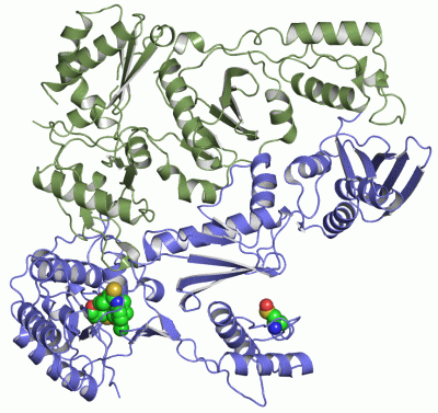 Image Asym./Biol. Unit - manually