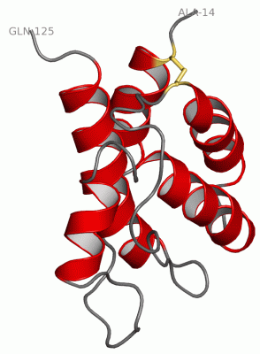 Image NMR Structure - manually