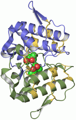 Image Asym./Biol. Unit - manually