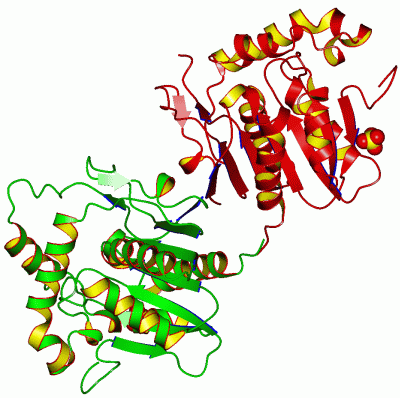 Image Asym./Biol. Unit - manually