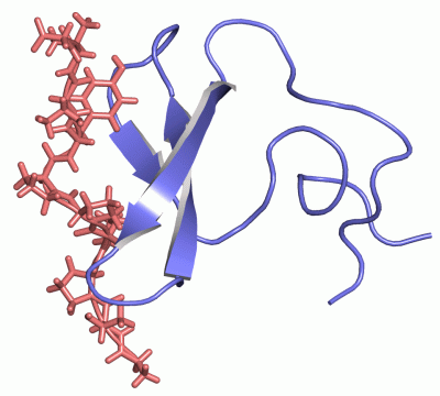 Image NMR Structure - manually