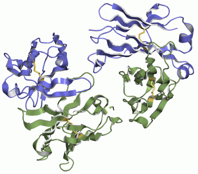 Image Asym./Biol. Unit - manually