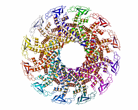 Image Asym./Biol. Unit - manually
