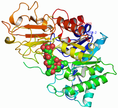 Image Asym./Biol. Unit - manually