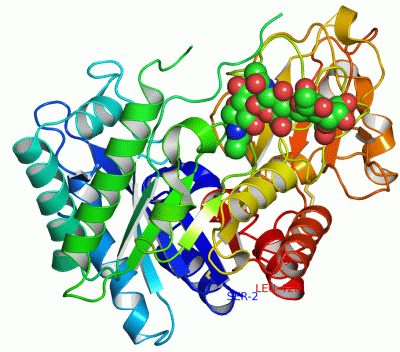 Image Asym./Biol. Unit - manually