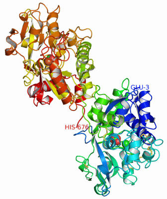 Image Asym./Biol. Unit - manually