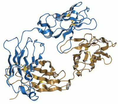 Image Asym./Biol. Unit - manually