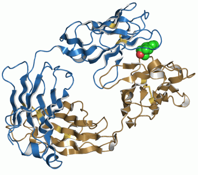 Image Asym./Biol. Unit - manually