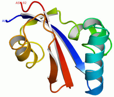 Image NMR Structure - manually