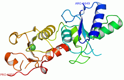 Image Asym./Biol. Unit - manually