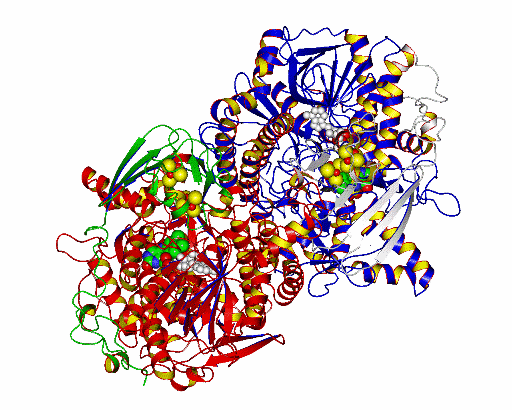 Image Asym./Biol. Unit - manually