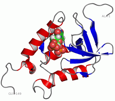 Image NMR Structure - manually