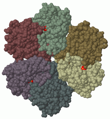 Image Biol.Unit 1 - manually