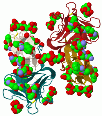 Image Biol.Unit 1 - manually