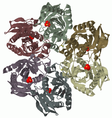 Image Biol.Unit 1 - manually
