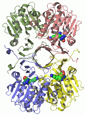 Image Asym./Biol. Unit - manually