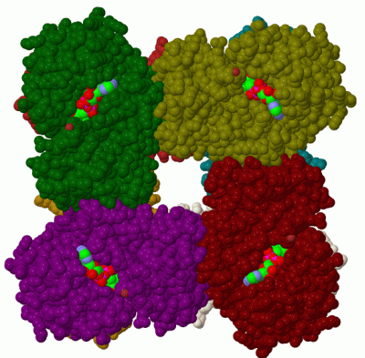 Image Biol.Unit 1 - manually