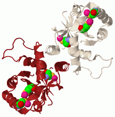 Image Biol.Unit 1 - manually