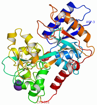 Image Asym./Biol. Unit - manually