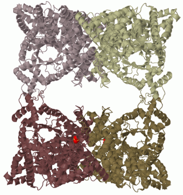 Image Biol.Unit 1 - manually