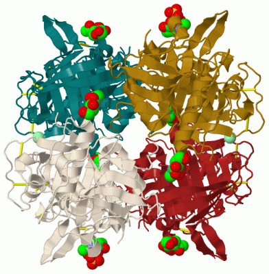Image Biol.Unit 1 - manually