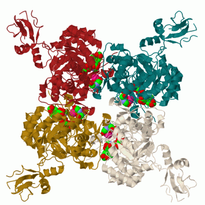 Image Biol.Unit 1 - manually