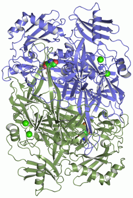 Image Asym./Biol. Unit - manually