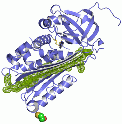 Image Asym./Biol. Unit - manually