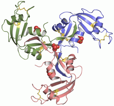 Image Asym./Biol. Unit - manually