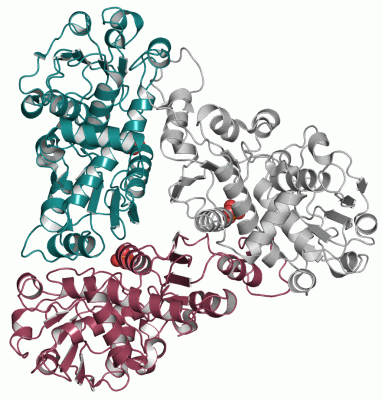 Image Asym./Biol. Unit - manually