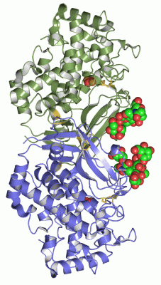 Image Asym.Unit - manually