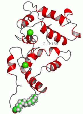 Image NMR Structure - manually