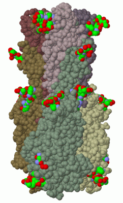 Image Biol.Unit 3 - manually