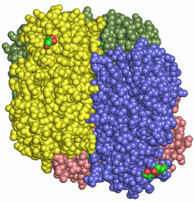 Image Asym./Biol. Unit - manually