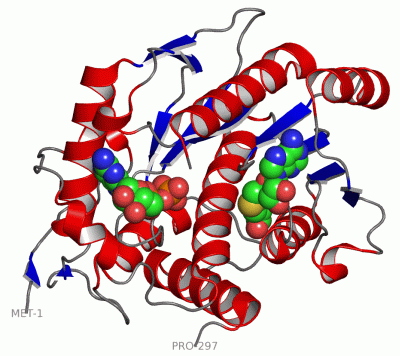 Image Asym./Biol. Unit - manually