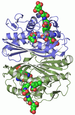 Image Asym./Biol. Unit - manually