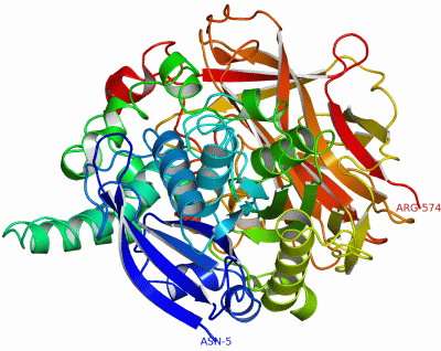 Image Asym./Biol. Unit - manually