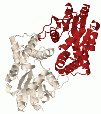 Image Biol.Unit 1 - manually