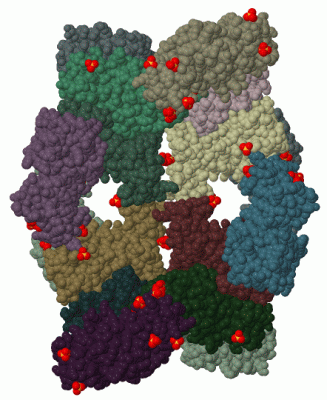 Image Biol.Unit 1 - manually