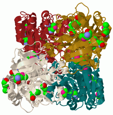 Image Biol.Unit 1 - manually